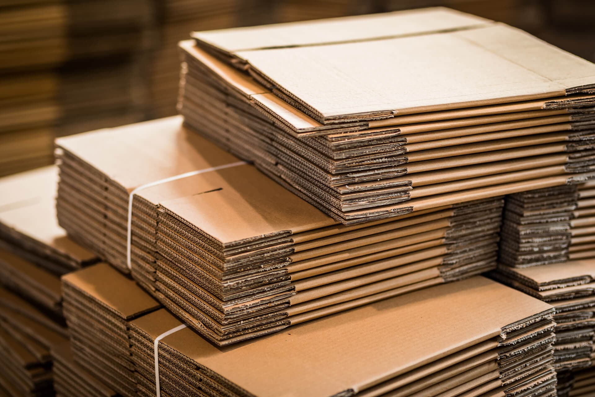 cajas de carton